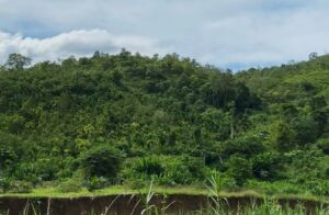 Read more about the article Gugatan Lingkungan Rp1 Triliun di Aceh Utara Seret Delapan Perusahaan Nasional, Termasuk yang Disebut Terafiliasi Presiden Prabowo