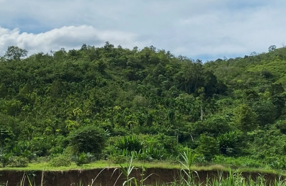 Read more about the article Gugatan Lingkungan Rp1 Triliun di Aceh Utara Seret Delapan Perusahaan Nasional, Termasuk yang Disebut Terafiliasi Presiden Prabowo